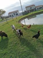 Gîte la Gordonière - Maison de campagne à Challans en Vendée - B&B Challans
