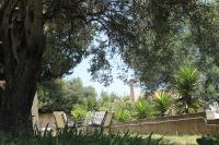 Olive House - B&B Stavrós