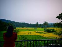 The Paddy Breeze Villa - B&B Marukwatura