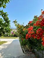 Katerina's Apartments - Ferienwohnung Agios Stéfanos Avliotón