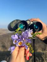 Getaway Nook - Chambres d’hôtes Dedoplistsqaro