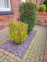 GB Homes - B&B Hollinwood