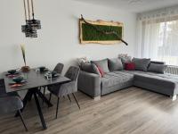 Apartment SAM modern mit Pool, Sauna und Parkplatz - Bed and Breakfast Unterkirnach