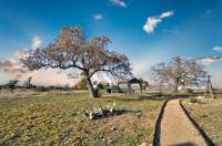 Holy Cow Cottage with Amazing Hill Country Views - Chambres d'hôtes Tivydale