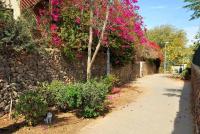 LeSaNel - Guest House - B&B