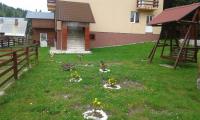 Casa Andreea-Maria - B&B Vârtop