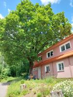 apartmán Monte Lope - B&B Bystřice pod Lopeníkem