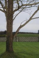 Cottage in the Countryside - Kinvara - Chambres d'hôtes Galway