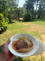 Mysti Hill House - B&B Ahangama
