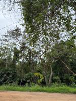 Pink Villa El Nido - B&B El Nido