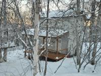Fairbanks Hillside Cabin with Northern Lights Views - Bed and Breakfast Fairbanks