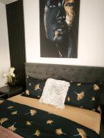 Mirage Apartments - Bed and Breakfast Baia Mare