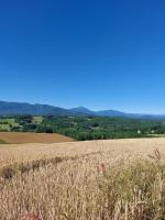 Maisonnette individuelle - Chambres d’hôtes Figarol