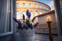 Amphiteater Art Apartman - Ferienwohnung Pula