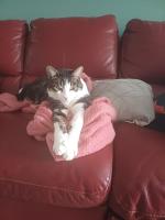 Chez Mimi et Mimine - Ferienwohnung Lons-le-Saunier