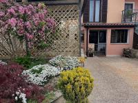 San Servolo Nature Retreat Novigrad - Chambres d'hôtes Bužinija