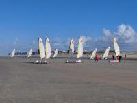 Cosy Dunes - Design Apartment Koksijde - B&B Koksijde