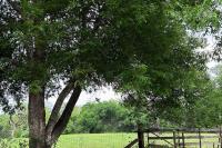 Awesome Haus with Gameroom, 4Blks to Center of Town! - B&B Fredericksburg