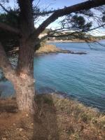 Charmant studio rénové à Llançà, Costa Brava, à deux pas de la mer et de la nature - B&B Llançà
