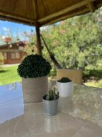 Bruna - Bed and Breakfast San Rafael