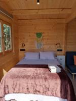 Cabaña Grandes Tesoros - B&B El Bosque