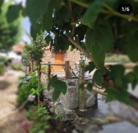 Casa da Eira - Chambres d'hôtes Pinheiro de Coja