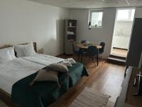 Faget Studio - B&B Braşov
