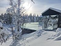 Fela Mirror Cabin Designer Hideaway 1000 m Above Sea Level - B&B Aurdal