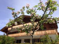 Chalet Pfingsteggblick - Chambres d’hôtes Grindelwald