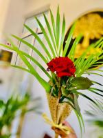 Wellness Residency - B&B Colombo