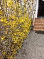 Liberation - B&B Mulhouse