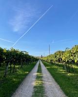 Corte Bonfiglio Colombari - B&B Illasi