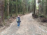 Casa, bosque, vista al volcán, playa privada compartida, 2 familias - B&B Villarrica