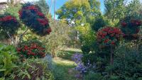 La Libellule, piscine, climatisation, wifi, vue ,jardin ,parking - B&B Le Vigan