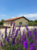 Villa Alba - B&B Ezerets