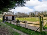 1 Bed in Norwich oc-87414 - B&B Hainford