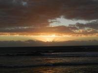 Studio Badamier - Cour privée, Plage à pied - Ferienwohnung Saint-Paul