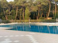 Plénitude arborée, Chalet Khélus avec piscine - Chambres d'hôtes Gujan-Mestras