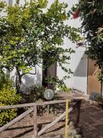 Palinuro La Dimora dell 'Avvocato - Bed and Breakfast Palinuro