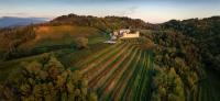Agriturismo Ronchi Di Sant'Egidio - Bed and Breakfast Manzano