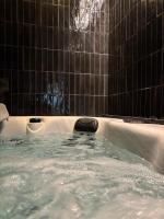 Hydra Haven l Sauna & Jacuzzi l Luxury Wellness Loft - Chambres d’hôtes Katowice