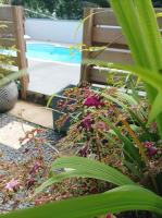 Villa Pavé Fleurie - B&B Les Abymes