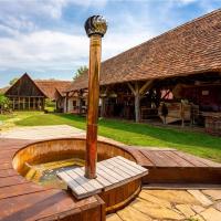 Șura din Seleuș - Seleuș Barn - Idyllic Countryside M Museum House - B&B Sighișoara