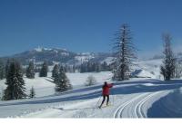 Chalet de vacances Col de la Faucille - B&B Mijoux