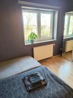 Auerandstudio - B&B Nienhagen