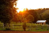 Hotel & Spa Escondite de la Montaña - Bed and Breakfast Sabana Redonda