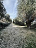 Maison Lia Tuscan Countryside - Ferienwohnung Montegiovi