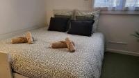 Studio cosy - Clermont Ferrand - B&B Clermont-Ferrand