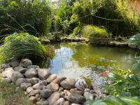 Superbe maison avec jardin - B&B Saverne