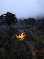 Entrecafe Experience- Los Naranjos - B&B Ojo de Agua